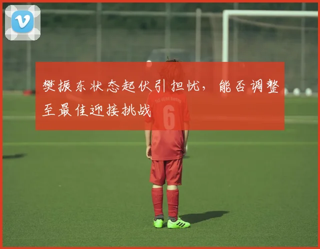 樊振东状态起伏引担忧，能否调整至最佳迎接挑战
